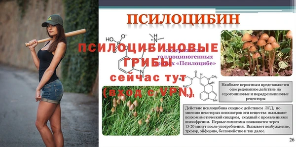 jwh Протвино