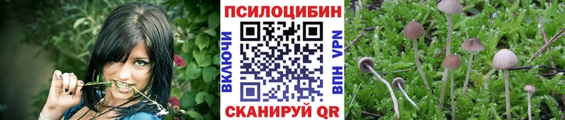 Галлюциногенные грибы GOLDEN TEACHER  хочу   Каменногорск 