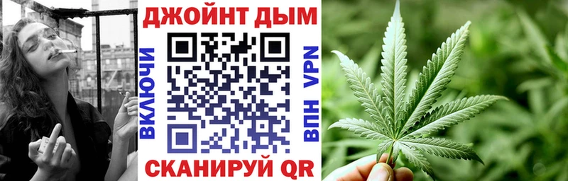 где продают наркотики  Каменногорск  kraken вход  Бошки Шишки конопля 